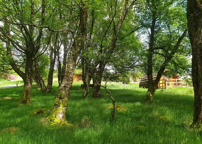 Glendalough Glamping - Adults Only