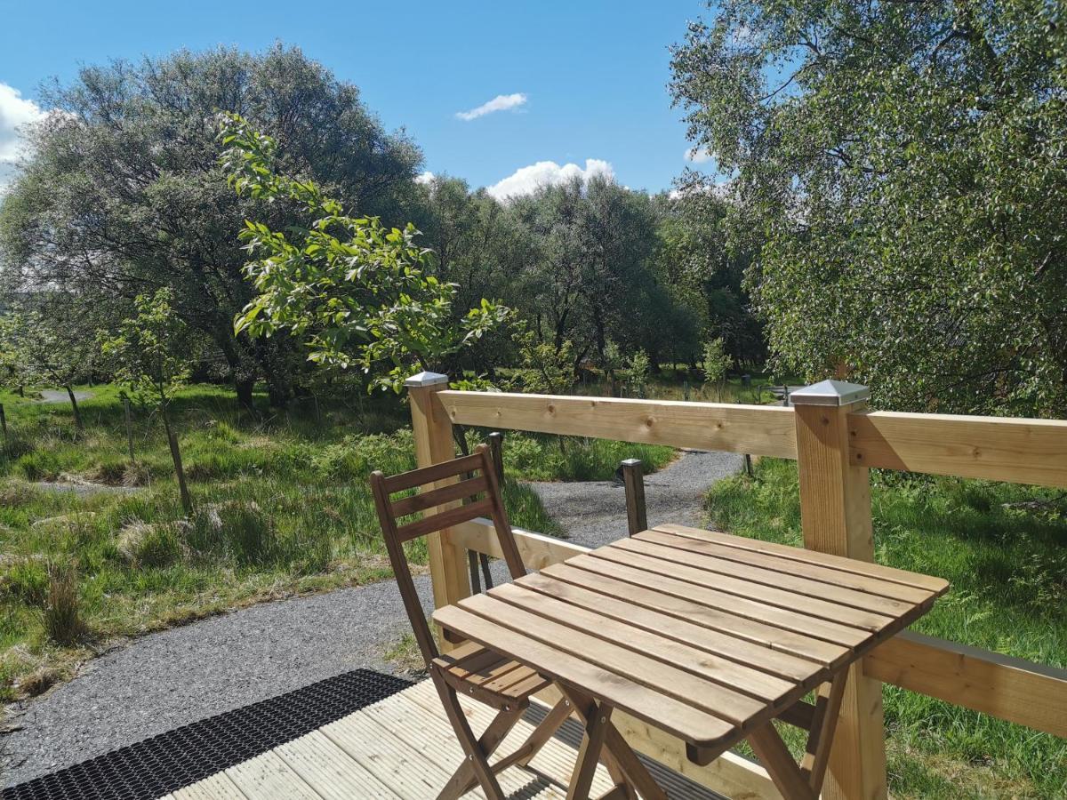 Campsite Glendalough Glamping - Adults Only Laragh